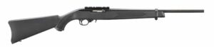 10/22 22LR 18.5" Blk Synth 10rd