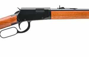 RIO BRAVO 22WMR 20" 12RDS BLK/HWD