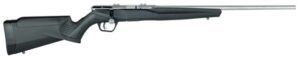 B17FVSS 17HMR 21" 10rd
