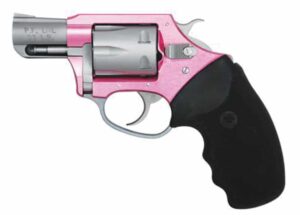 Char Pthfndr PnkLdy 22LR 2" Pk/SS FS 8rd