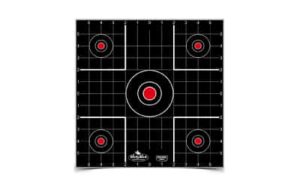B/C DIRTY BIRD SIGHT IN TGT 12-12"
