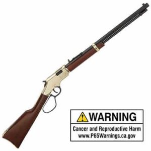 HENRY GOLDEN BOY 22LR LOOP