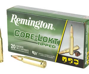 REM 308 WIN 180GR CLOK TIPPED 20/200