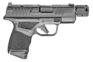 Hellcat RDP WO/Optic 9MM 3.8" 10RD
