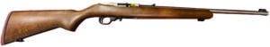 10/22 22LR  18.5" SS/Stained Beech 10rd