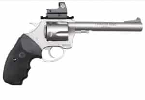 Char Target Mastiff 44SP 6" SS 5rd