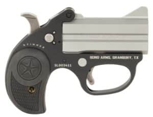 Stinger 38 Spl 3" SS/Blk 2 Grips 2-rd