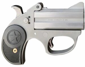 Bond Arms BASRS Stinger  38 Special 2 Shot 3" Rough Matte Stainless Steel Barrel & Frame, Black Rubber Grips