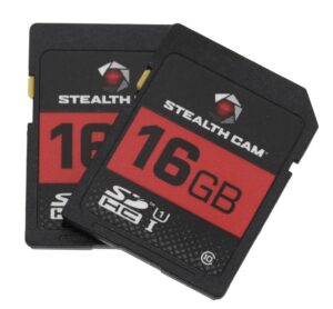 STEAL STC-16GB2PK    16GB SD CARD 2PACK