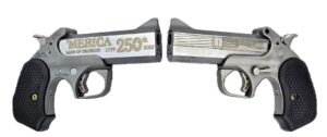 BOND ARMS 250TH REDNECK 45-70 SS 4.25"