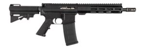 DPMS DP51655230203 DP15 SHORTACLE 556 10.5 BRACE